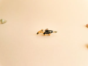 Pingente Miniatura Tamanduá Mirim