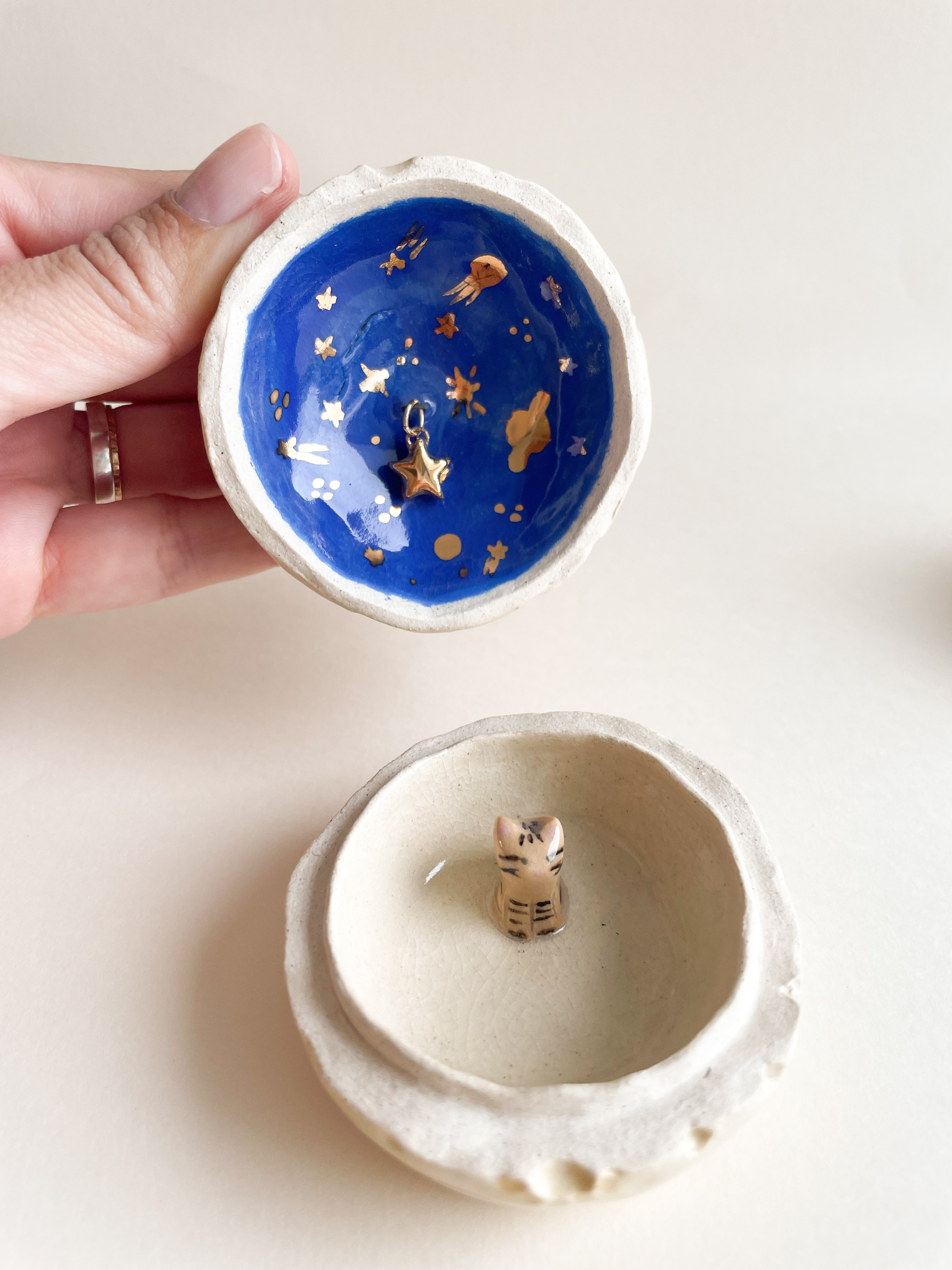 Porta Tesouros Gatinho Tigrado na Lua