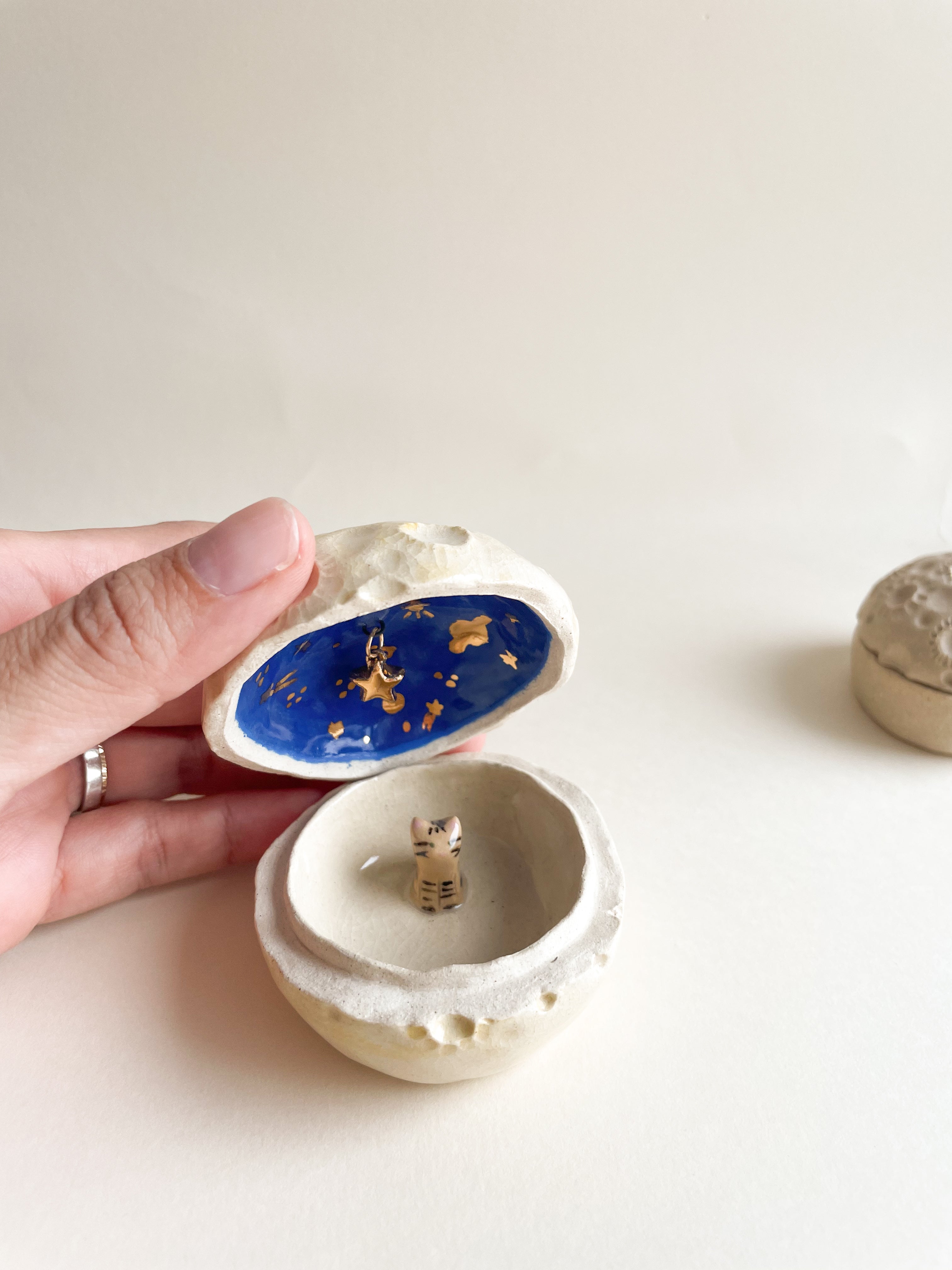 Porta Tesouros Gatinho Tigrado na Lua